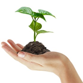 41.FemaleHoldingPlant