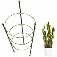 OIP.WTKqPq5kyy4FCViBQ1c-9QAAAA